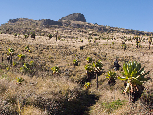 Mount Elgon National Park